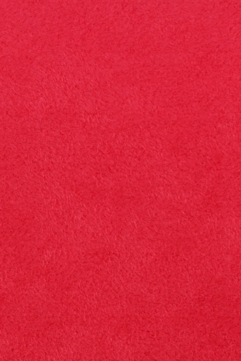 Dinamica Classica Logo Red