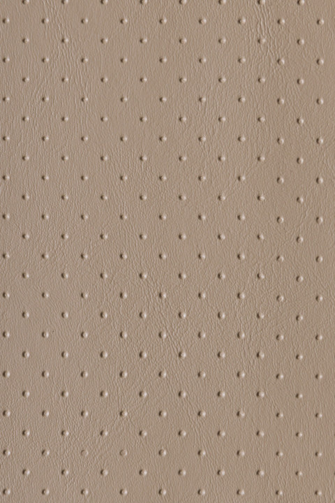 Sand Dune Perforated
