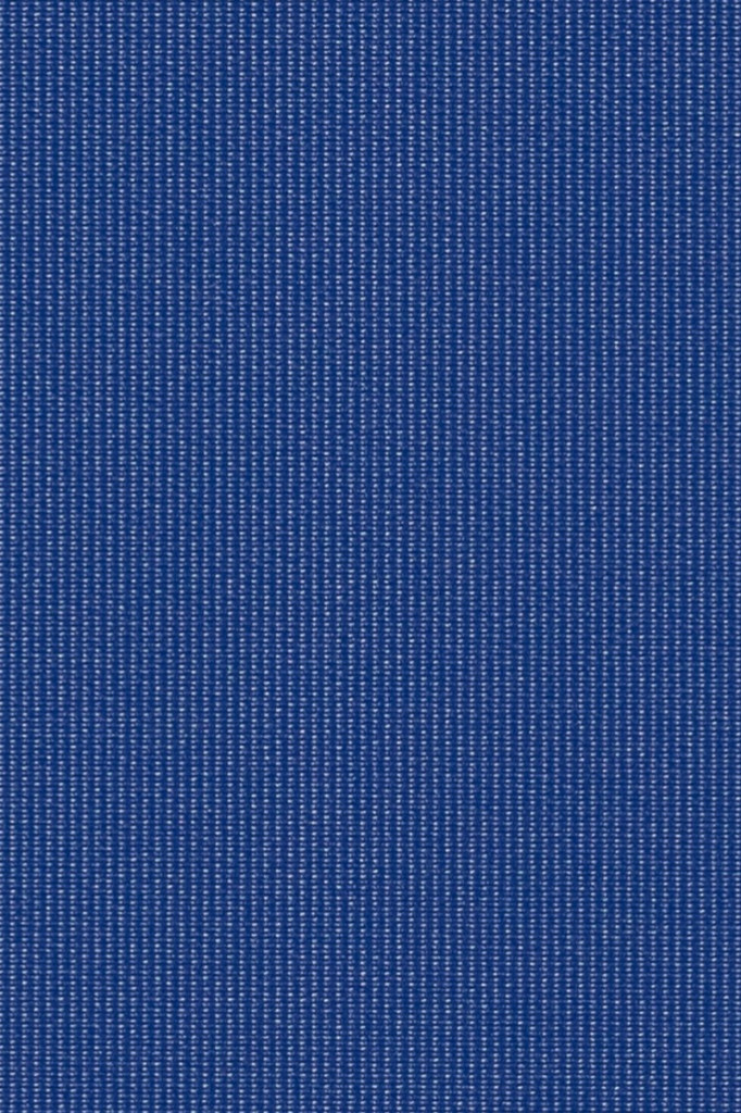 Globe Indigo