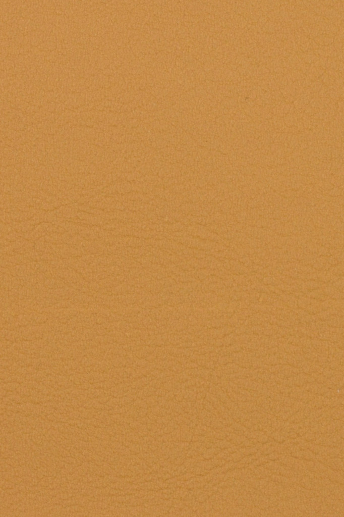 Valencia Camel