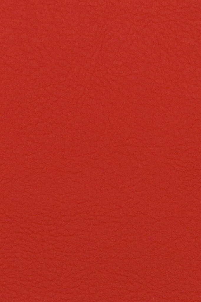 Valencia Tomato