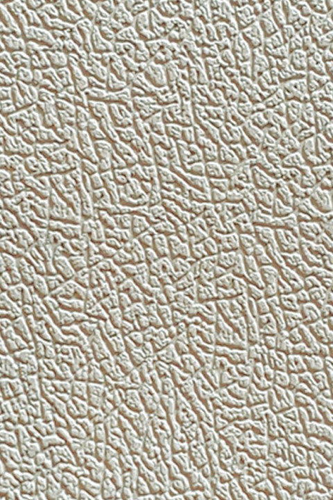 Leather Texture Desert Khaki