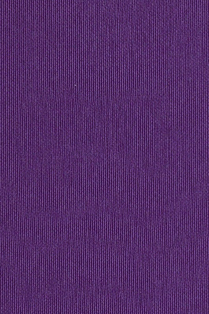 Silverguard Aubergine