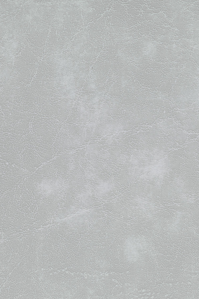 Oxford Birch