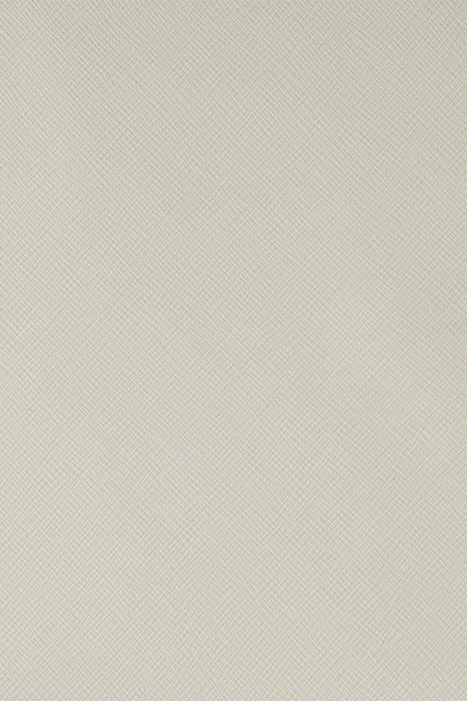 Econic Painter's White