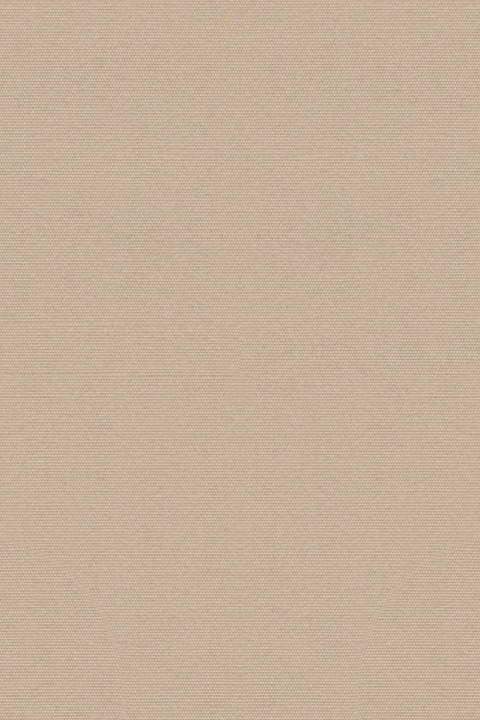 Solids Antique Beige