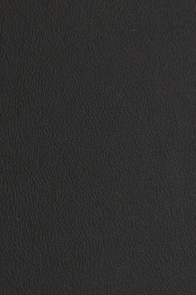 Marine Collection Coastline Crow