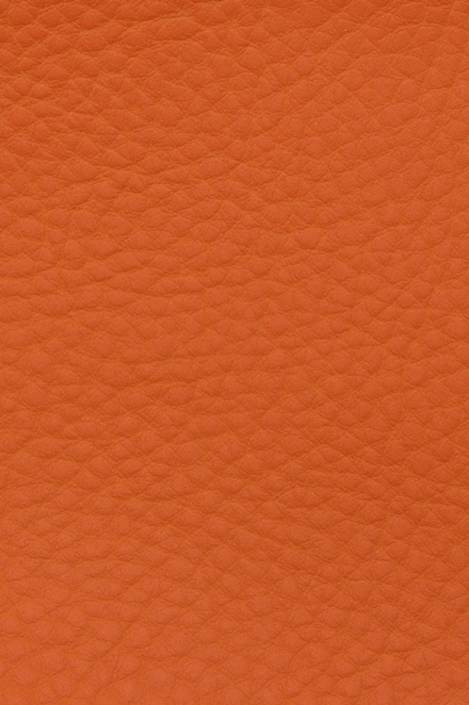 Bella Grana Nasturtium