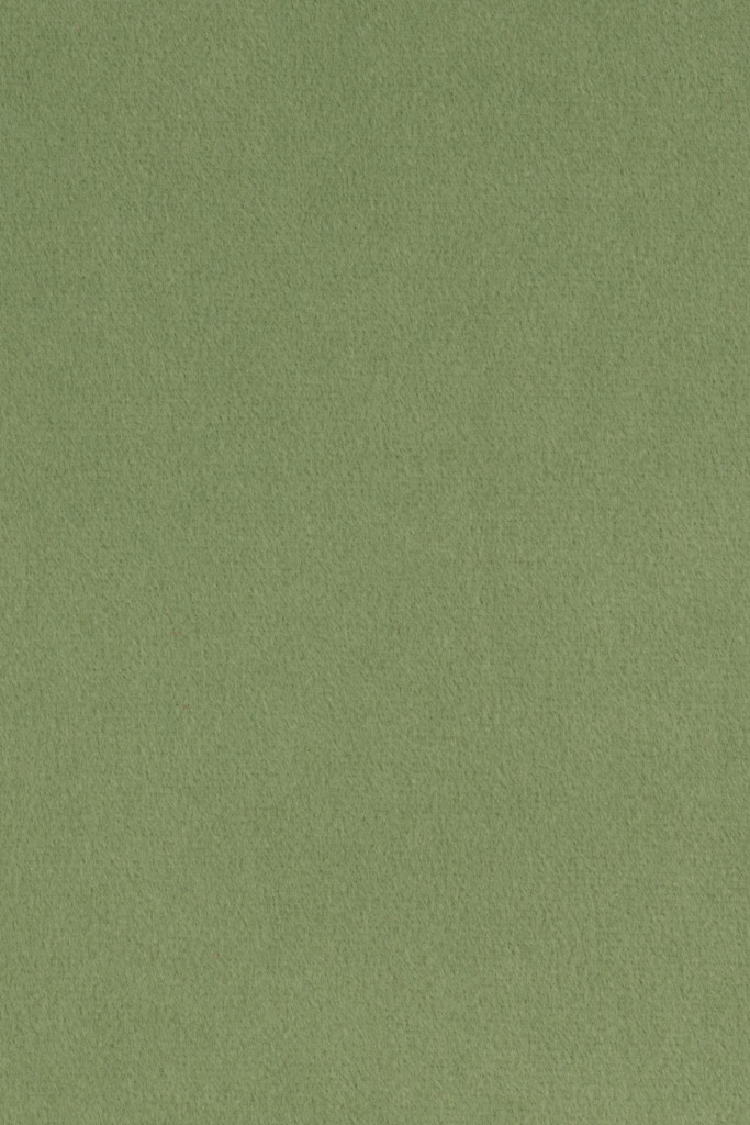 Agua Fabrics Segunda Apple