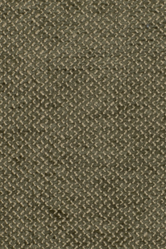 Agua Fabrics Oruga Gecko