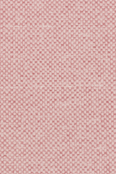 Blossom