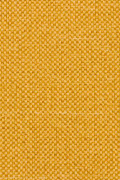 Hive