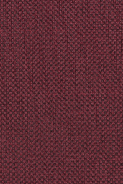 Acai