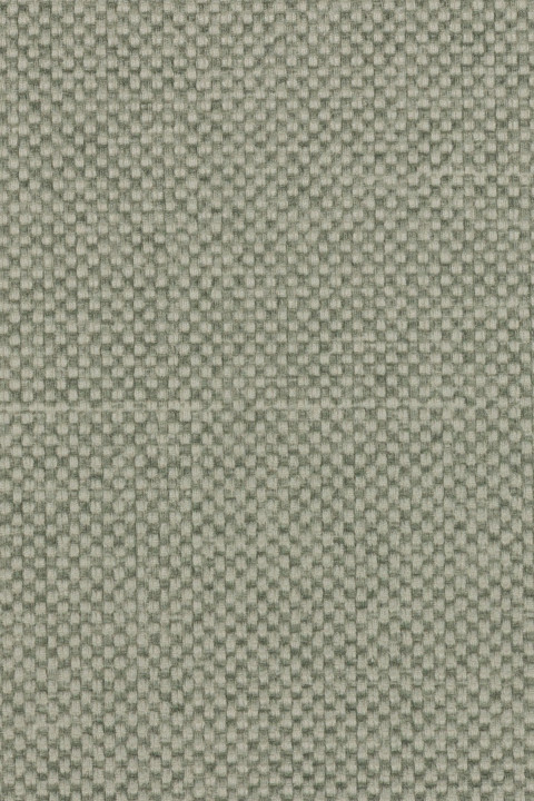 Safari