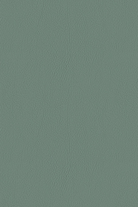 Eucalyptus