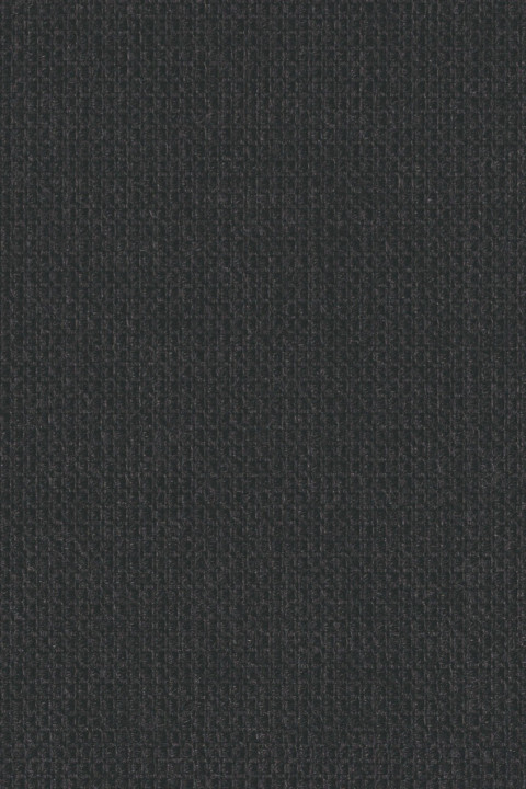 Iron