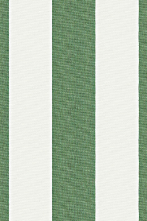 Clovely