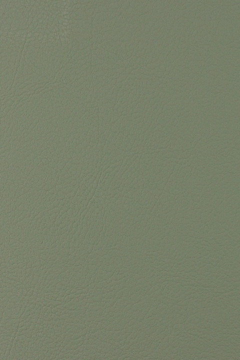 Pine