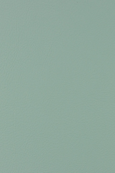 Eucalyptus