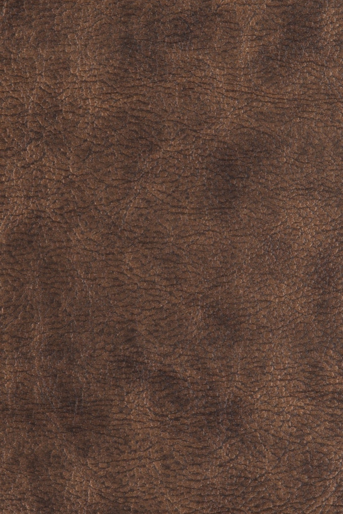 Agua Fabrics Mystique Atlas Copper