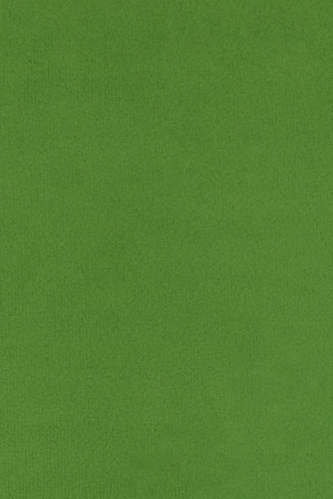 Agua Fabrics Primeira Apple Green