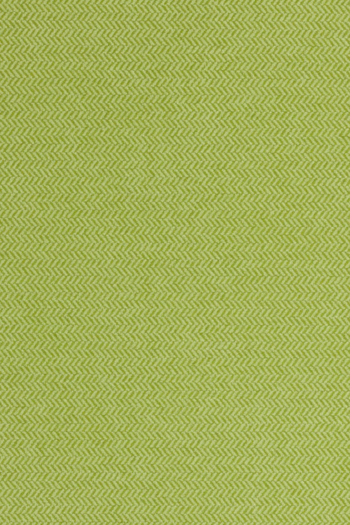 Agua Fabrics Nova Nova Lime