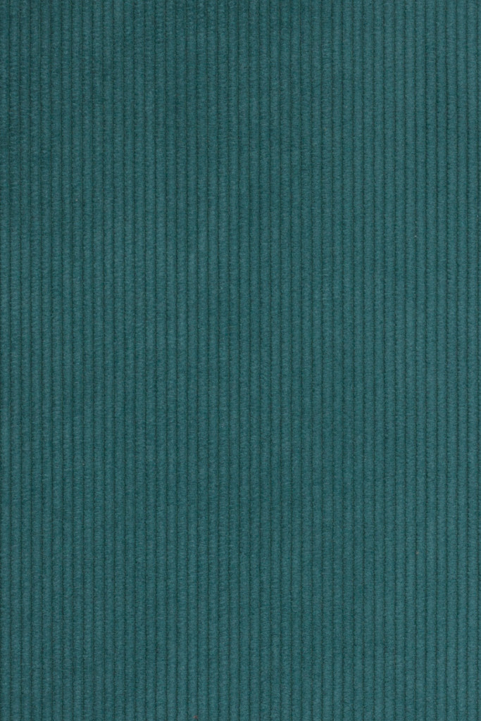 Agua Fabrics Cord Cord Teal