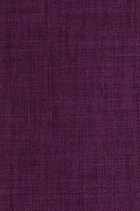 Linetta Purple